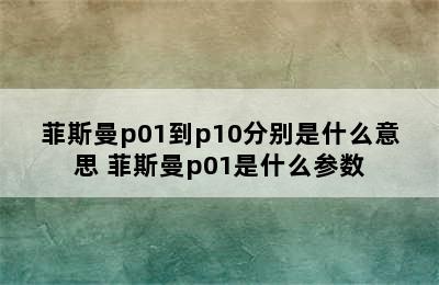 菲斯曼p01到p10分别是什么意思 菲斯曼p01是什么参数